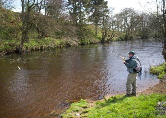 Playing a trout on the River Annan River Annan, Trout fishing, Grayling Fishing