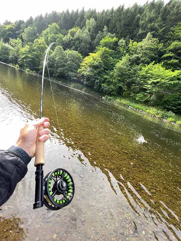 River-Tweed-Trout-Sage-ESN Sage ESN, Grayling Fishing, River Tweed
