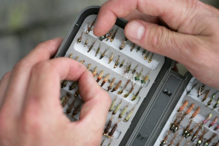 RiverTweedflies trout flies, river Tweed, river fishing, wade fishing, Scotland