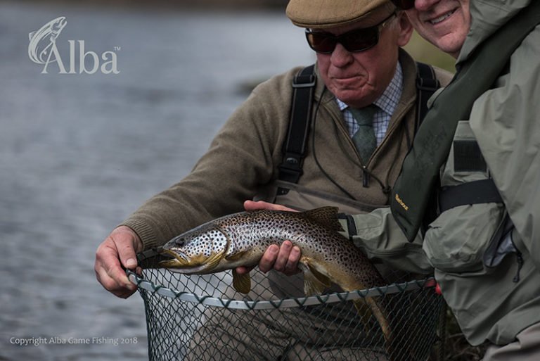 River Spey, Dry Fly, Wild Brown Trout, Alba Game Fishing, Fly Fishing, Scotland