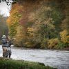 River Earn, Salmon Fishing, Near Gleneagles