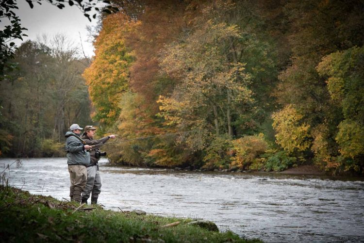 River Earn, Salmon Fishing, Near Gleneagles