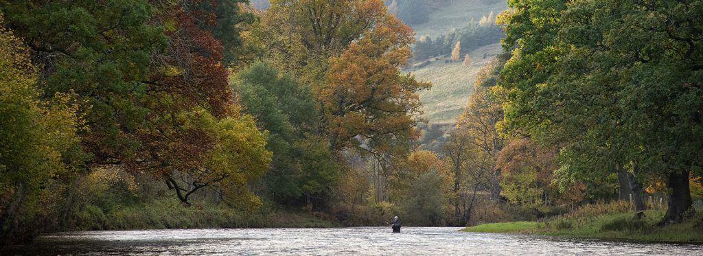 River Tweed, salmon fishing, fly fishing, fishing guide, spey casting,