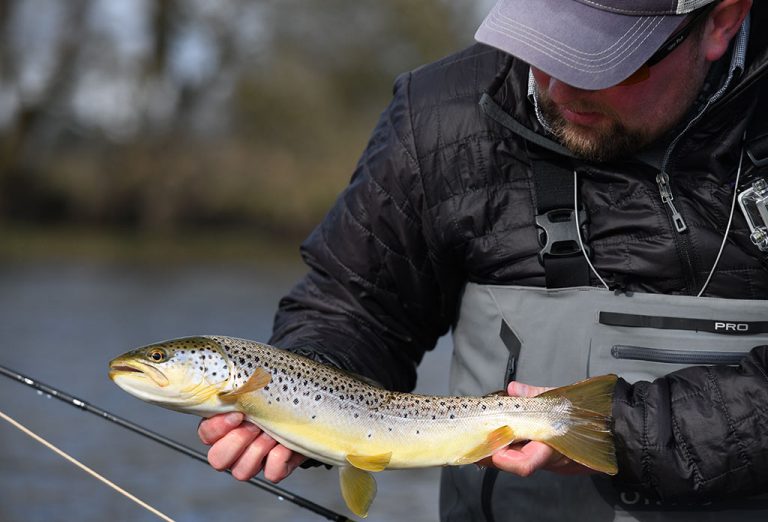 Trout Fishing, Brown trout, River Don,, trout fishing, grayling fishing, Orvis fishing guide