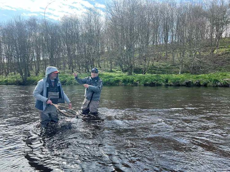River Deveron, Trout Fishing