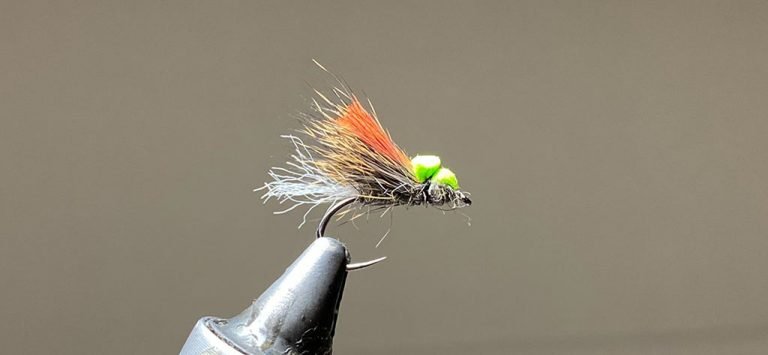 Caddis fly, balloon caddis, dry fly, trout fly, trout flies,