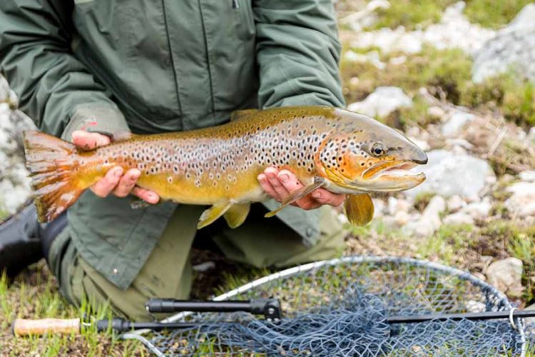 Loch Shiel, Scottish Highlands, Trout fishing, Loch