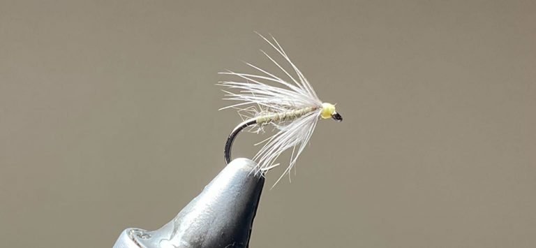 trout flies, Water Hen Bloa, Soft Hackle, Spider, trout flies, wet flies, dry flies, River Tweed