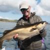 big pollock, trophy pollock, massive Pollack, fly fishing in the sea, pollock fishing Scotland