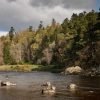 Rivers of Scotland, River Dee, Salmon Fishing, Aberdeen, Royal Deeside, Speycasting, Commonty, fishing guide, beginners, The best fishing spots near Aberdeen