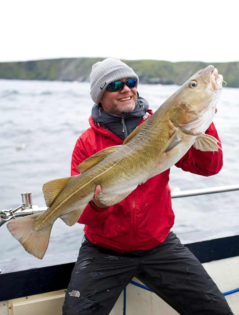 Fishing in Shetland, cod, boat, huge cod