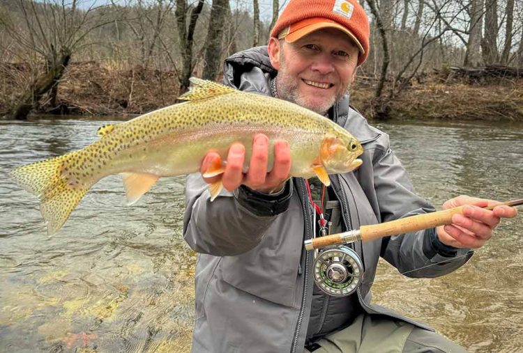 Bamboo-Fly-Rod-Trout Rainbow trout, Noontoola Creek, America, Bamboo rod