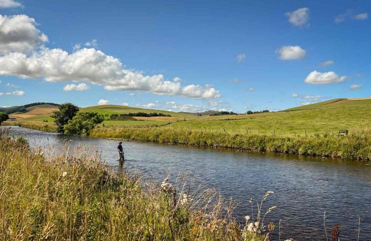 Brown-Trout-Fishing-River-Don River Don, Trout Fishing