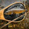 Brown-Trout-on-Bamboo-Fly-Rod Bamboo Fly Rod, Brown Trout, Hardy Marquis reel, Bill Oyster, trout fishing, Scotland