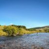 Trout-Fishing-River-Don-Near-Aberdeen River Don, Salmon Trout fishing River Don, Fishing guide, Wild Trout, Aberdeen, Aberdeenshire, Fife Arms, Best fishing spots near Fife Arms