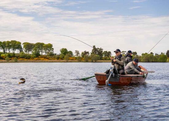 Trout-Inverness-Loch-Eye Trout fishing, Inverness, Loch Eye, jumping trout