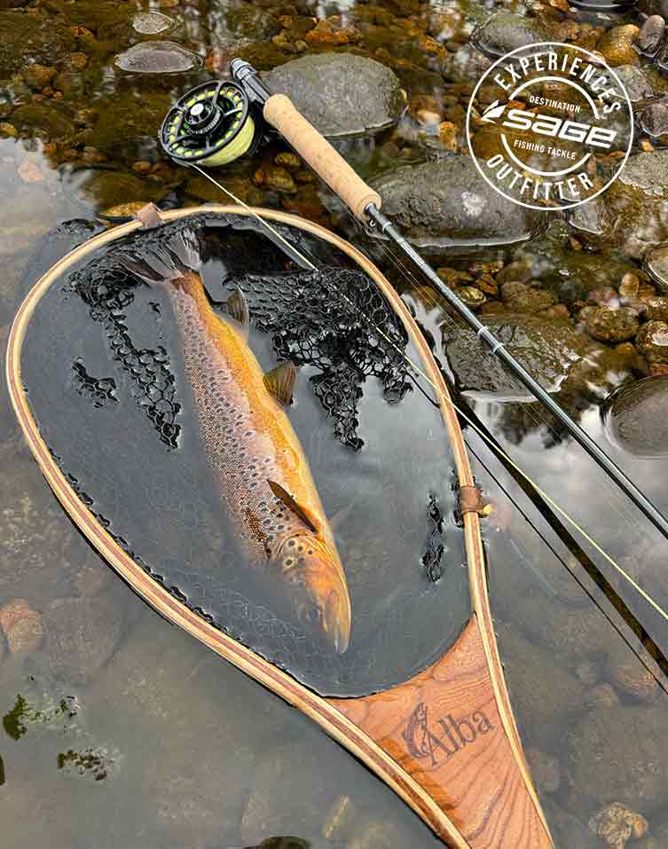 Brown Trout, Fly Fishing, River Ness, Dry Fly, Soft hackled spider, Alba Game Fishing