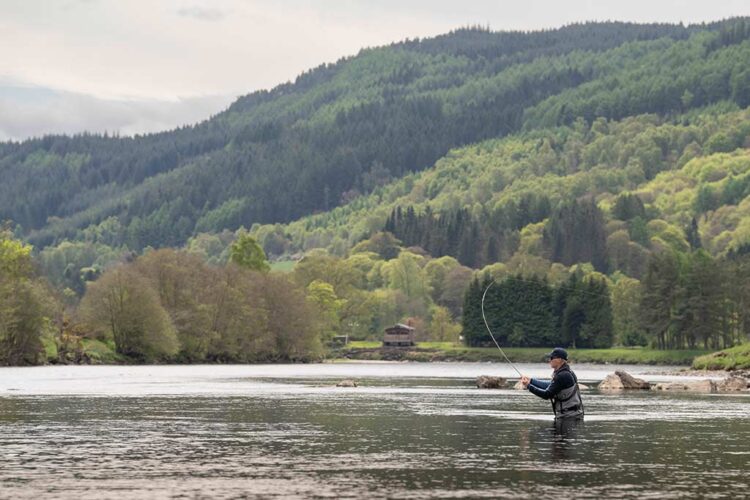 Dry-Fly-fishing-for-Trout-River-Tay Trout Fishing, River Tay, Dry Fly Fishing, Kinnaird, Guay Pool, Sage Fly Rods, Sage R8