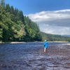 River Tummel, Trout fishing, Grayling fishing, Sage Fly rods
