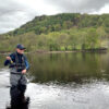 Trout Fishing, River Tay, Tummel, Dry Fly Fishing, Kinnaird, Ferry Pool,