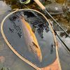 Brown Trout, Landing Net, Catch and release, Alba Game Fishing, Sage R8 rod