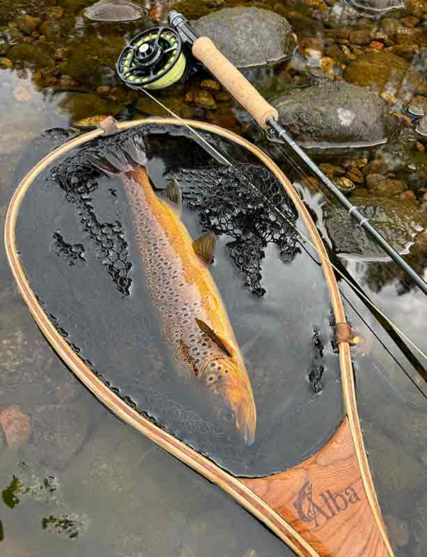 Brown Trout, Landing Net, Catch and release, Alba Game Fishing, Sage R8 rod