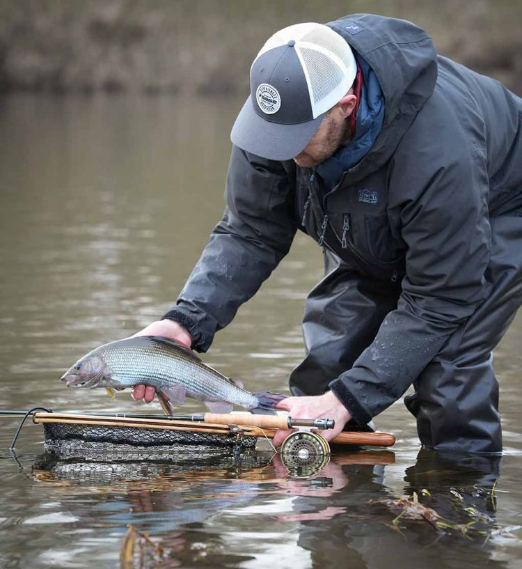 Grayling-Fishing-River-Tweed Grayling Fishing, Catch and Release, Sage ESN Rods, Sage Fly Rods, Grayling