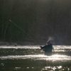 Winter Grayling, Fishing, River Tweed,River teviot