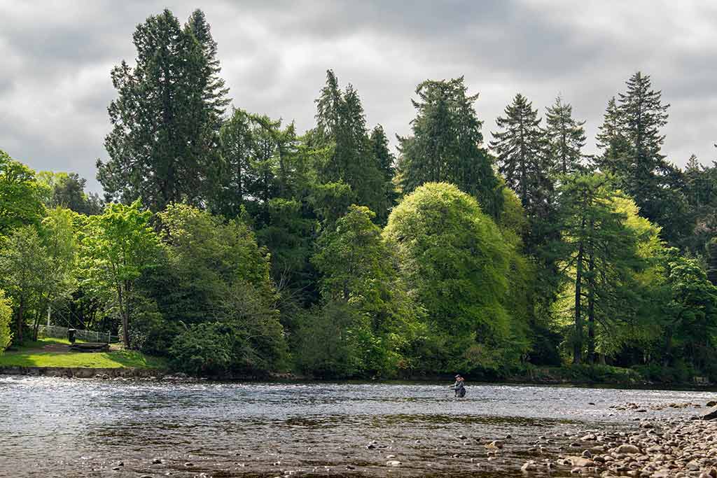 River Ness, Salmon Fishing, Trout Fishing, Ness Walk, Dochfour