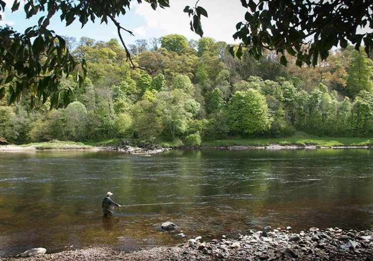 Salmon Fishing River Tay Spey Casting,